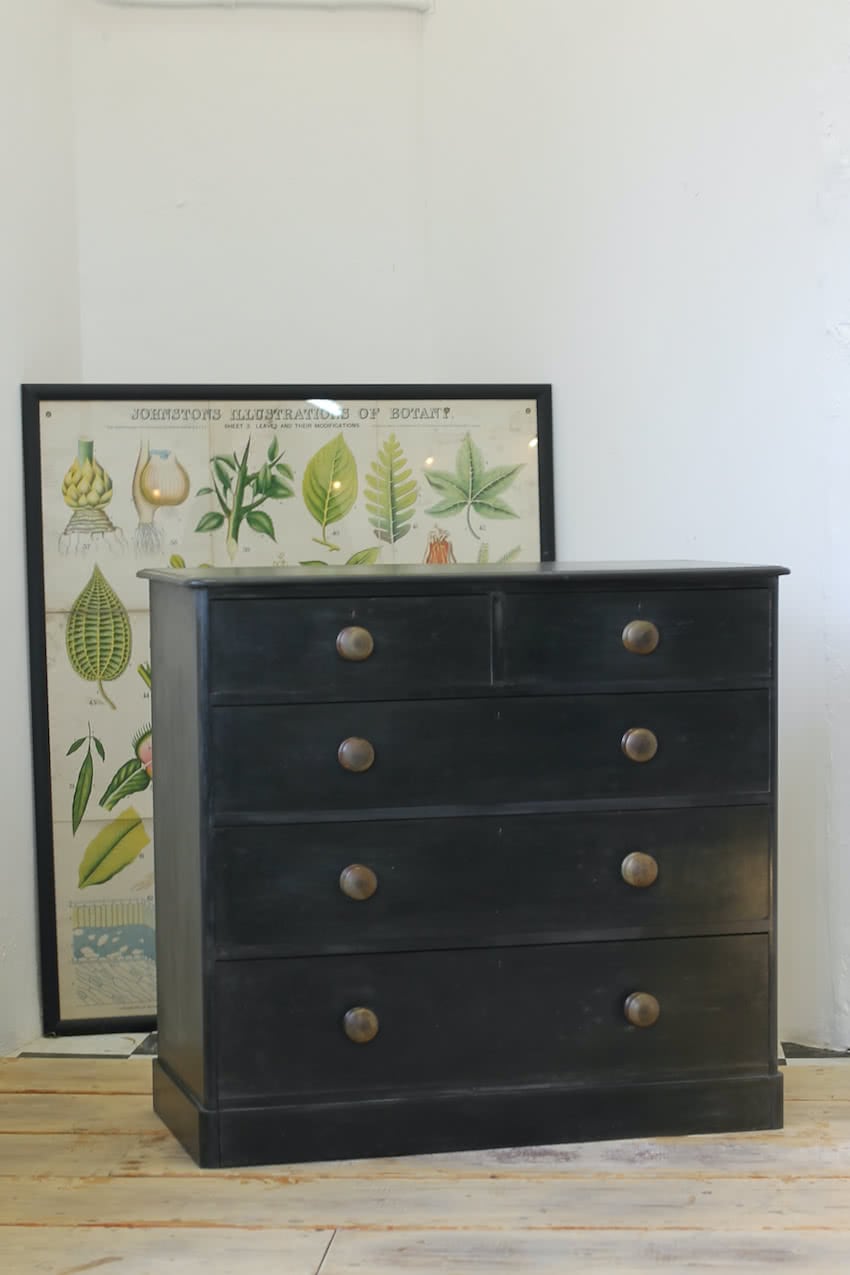 large restored antique pine chest with nice rounded shaping and sits on plinth